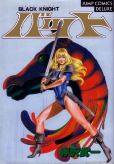 Black Knight Bat Black Knight Bat