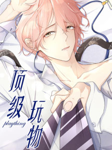 Top Plaything Top Plaything