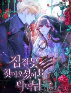 You’ve Come to the Wrong House, Villain You’ve Come to the Wrong House, Villain