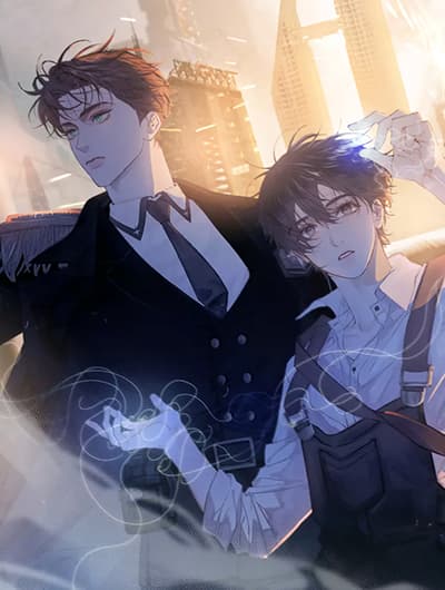 The Little Mushroom The Little Mushroom