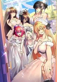 Rentel Room Brides Rentel Room Brides