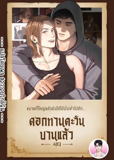 The Sunflower Has Bloomed