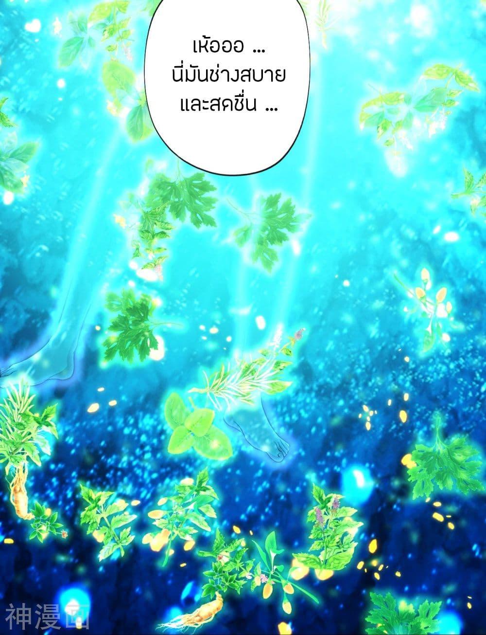 Banished Disciple's Counterattack ตอนที่ 209 แปลไทย รูปที่ 13