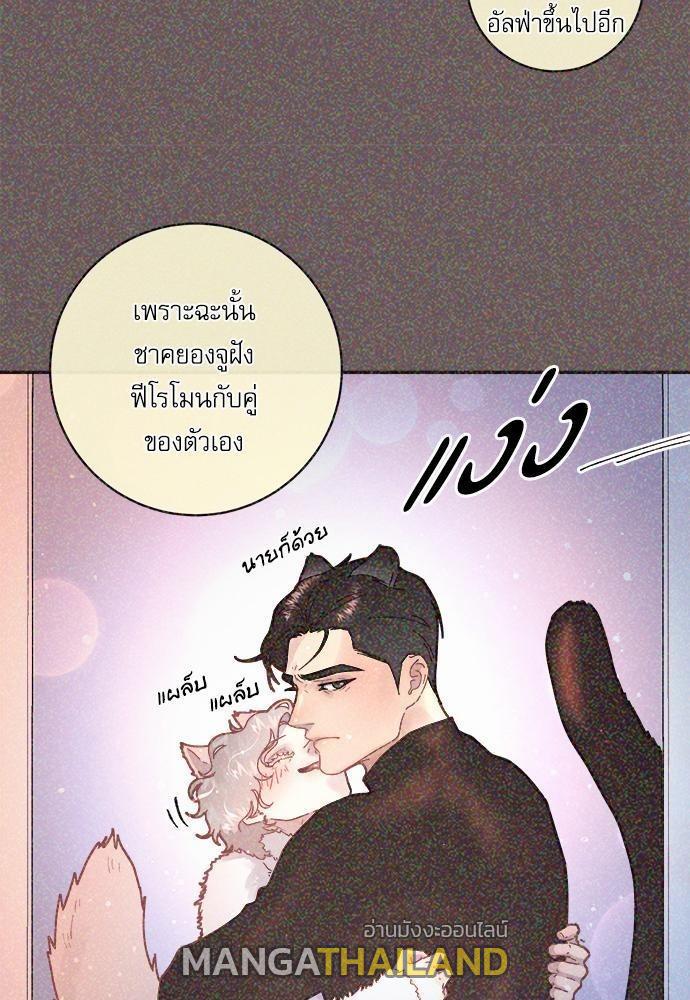 How to Chase an Alpha ตอนที่ 51 แปลไทย รูปที่ 15
