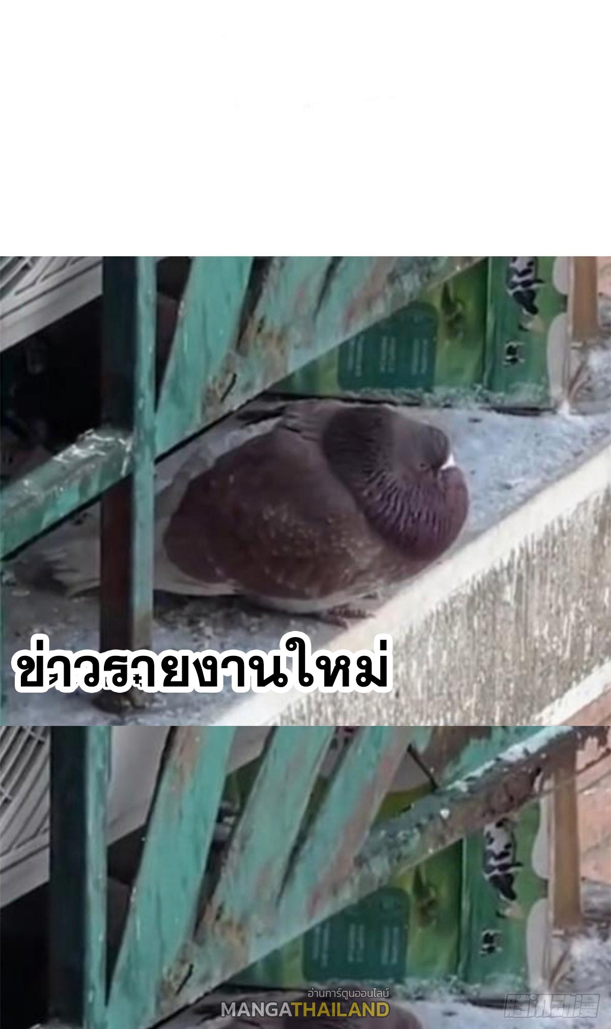 Top Tier Providence ตอนที่ 178 แปลไทยแปลไทย รูปที่ 2